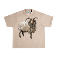 French Oak navajo churro sheep Urban Heavy Tee - LillyAllenDesigns