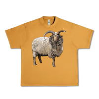 Peanut Butter navajo churro sheep Urban Heavy Tee - LillyAllenDesigns