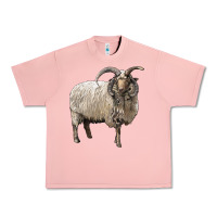 Salmon navajo churro sheep Urban Heavy Tee - LillyAllenDesigns