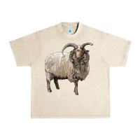 Sandshell navajo churro sheep Urban Heavy Tee - LillyAllenDesigns