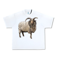 White navajo churro sheep Urban Heavy Tee - LillyAllenDesigns