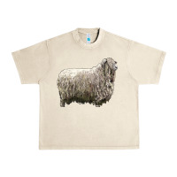 Sandshell lincoln sheep Urban Heavy Tee - LillyAllenDesigns