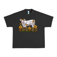 Pigment Black charolais calf with sunflowers Urban Heavy Tee - LillyAllenDesigns