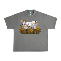 Tornado charolais calf with sunflowers Urban Heavy Tee - LillyAllenDesigns