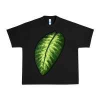 Black Dumb Cane Leaf Urban Heavy Tee - LillyAllenDesigns