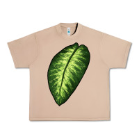 Burro Dumb Cane Leaf Urban Heavy Tee - LillyAllenDesigns