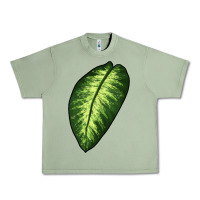 Oil Green Dumb Cane Leaf Urban Heavy Tee - LillyAllenDesigns