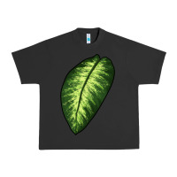 Pigment Black Dumb Cane Leaf Urban Heavy Tee - LillyAllenDesigns