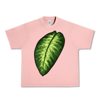 Salmon Dumb Cane Leaf Urban Heavy Tee - LillyAllenDesigns