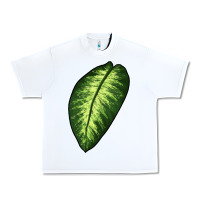 White Dumb Cane Leaf Urban Heavy Tee - LillyAllenDesigns