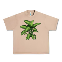 Burro Dumb Cane Urban Heavy Tee - LillyAllenDesigns