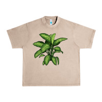 French Oak Dumb Cane Urban Heavy Tee - LillyAllenDesigns