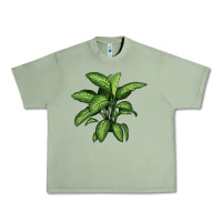 Oil Green Dumb Cane Urban Heavy Tee - LillyAllenDesigns
