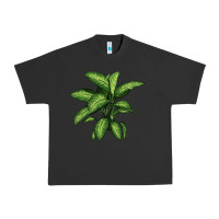 Pigment Black Dumb Cane Urban Heavy Tee - LillyAllenDesigns