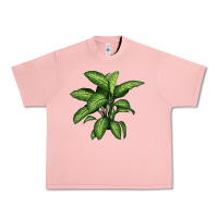 Salmon Dumb Cane Urban Heavy Tee - LillyAllenDesigns