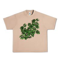 Burro Botanical Schefflera Illustrations Urban Heavy Tee - LillyAllenDesigns