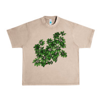 French Oak Botanical Schefflera Illustrations Urban Heavy Tee - LillyAllenDesigns