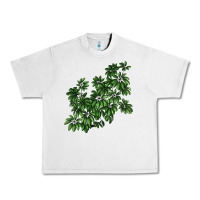 Lunar Rock Botanical Schefflera Illustrations Urban Heavy Tee - LillyAllenDesigns