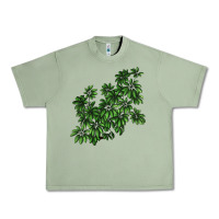 Oil Green Botanical Schefflera Illustrations Urban Heavy Tee - LillyAllenDesigns