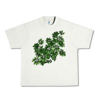 Pistachio Botanical Schefflera Illustrations Urban Heavy Tee - LillyAllenDesigns