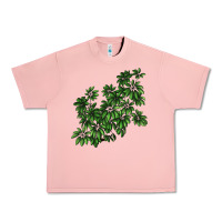 Salmon Botanical Schefflera Illustrations Urban Heavy Tee - LillyAllenDesigns