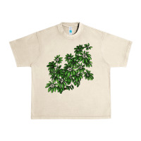 Sandshell Botanical Schefflera Illustrations Urban Heavy Tee - LillyAllenDesigns