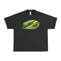 Pigment Black Golden Pothos Leaf Urban Heavy Tee - LillyAllenDesigns