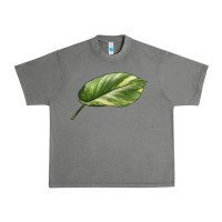 Tornado Golden Pothos Leaf Urban Heavy Tee - LillyAllenDesigns