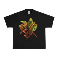 Black Croton Urban Heavy Tee - LillyAllenDesigns