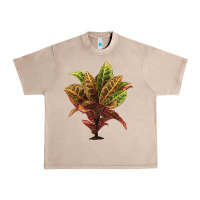 French Oak Croton Urban Heavy Tee - LillyAllenDesigns