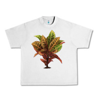 Lunar Rock Croton Urban Heavy Tee - LillyAllenDesigns