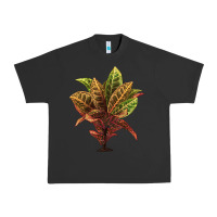 Pigment Black Croton Urban Heavy Tee - LillyAllenDesigns