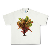 Pistachio Croton Urban Heavy Tee - LillyAllenDesigns