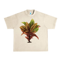 Sandshell Croton Urban Heavy Tee - LillyAllenDesigns