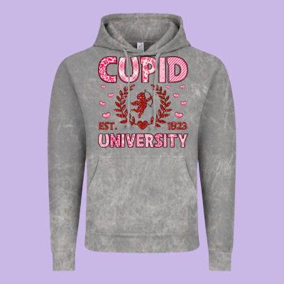 Cupid University Vintage Hoodie Designed By Lillyallendesigns