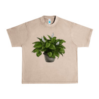 French Oak Peace Lily Urban Heavy Tee - LillyAllenDesigns