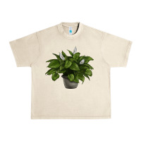 Sandshell Peace Lily Urban Heavy Tee - LillyAllenDesigns