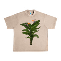 French Oak the bird of paradise Urban Heavy Tee - LillyAllenDesigns