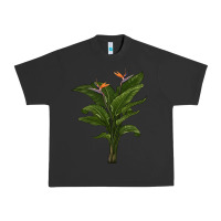 Pigment Black the bird of paradise Urban Heavy Tee - LillyAllenDesigns