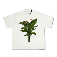 Pistachio the bird of paradise Urban Heavy Tee - LillyAllenDesigns
