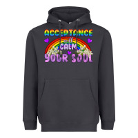 Lgbtq Acceptance Will Calm Your Soul Heavyweight Hoodie | Teevron
