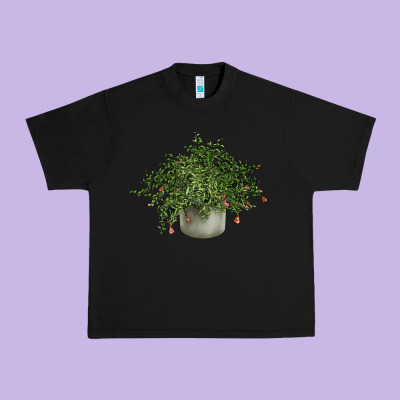 Dwarf Pomegranate Tree Illustrations Urban Heavy Tee Designed By Lillyallendesigns