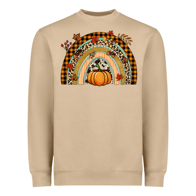 Fall Rainbow Pumpkin Heavyweight Sweatshirt by NancyCooperArtShop | Teevron