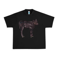 Black Black Angus Calf Illustrations Urban Heavy Tee - LillyAllenDesigns