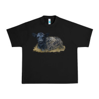 Black Black Angus Calf Illustrations Urban Heavy Tee - LillyAllenDesigns