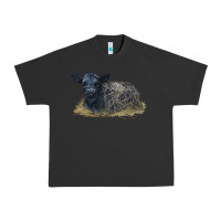 Pigment Black Black Angus Calf Illustrations Urban Heavy Tee - LillyAllenDesigns