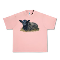 Salmon Black Angus Calf Illustrations Urban Heavy Tee - LillyAllenDesigns