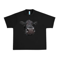 Black Black Angus Heifer Urban Heavy Tee - LillyAllenDesigns