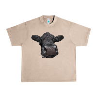 French Oak Black Angus Heifer Urban Heavy Tee - LillyAllenDesigns
