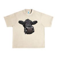 Black Angus Heifer Urban Heavy Tee | Teevron